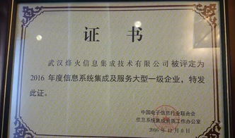 烽火通信榮膺首批全國信息系統(tǒng)集成及服務(wù)大型一級企業(yè)，引領(lǐng)行業(yè)標(biāo)桿